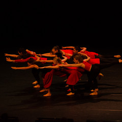 d7k_1551_carrysize_cr_45183007451_o.jpg